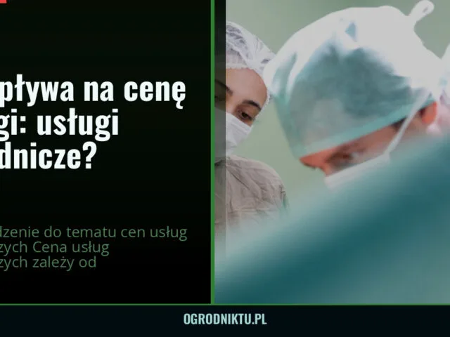 Co wpływa na cenę usługi: usługi ogrodnicze? — ogrodniktu.pl