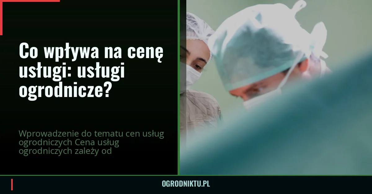 Co wpływa na cenę usługi: usługi ogrodnicze?