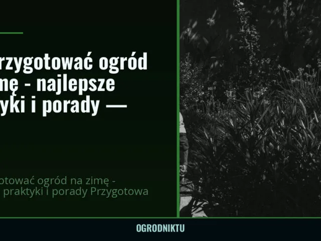 Jak przygotować ogród na zimę - najlepsze praktyki i porady — 2026 — ogrodniktu.pl