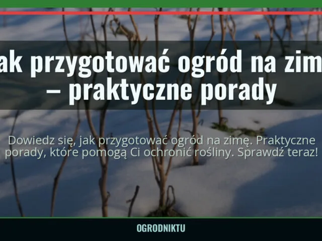 Jak przygotować ogród na zimę – praktyczne porady — ogrodniktu.pl