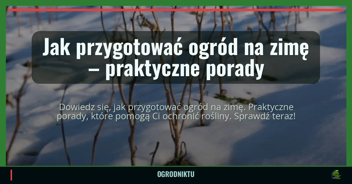 Jak przygotować ogród na zimę – praktyczne porady