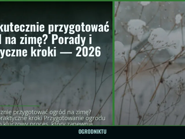 Jak skutecznie przygotować ogród na zimę? Porady i praktyczne kroki — 2026 — ogrodniktu.pl