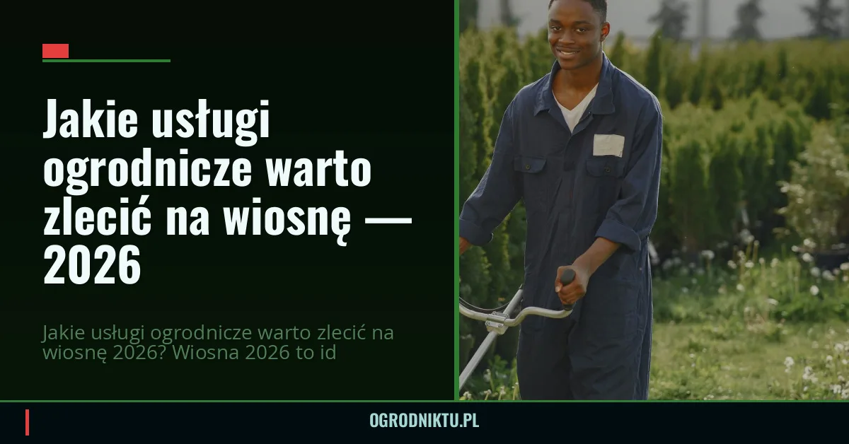 Jakie usługi ogrodnicze warto zlecić na wiosnę — 2026