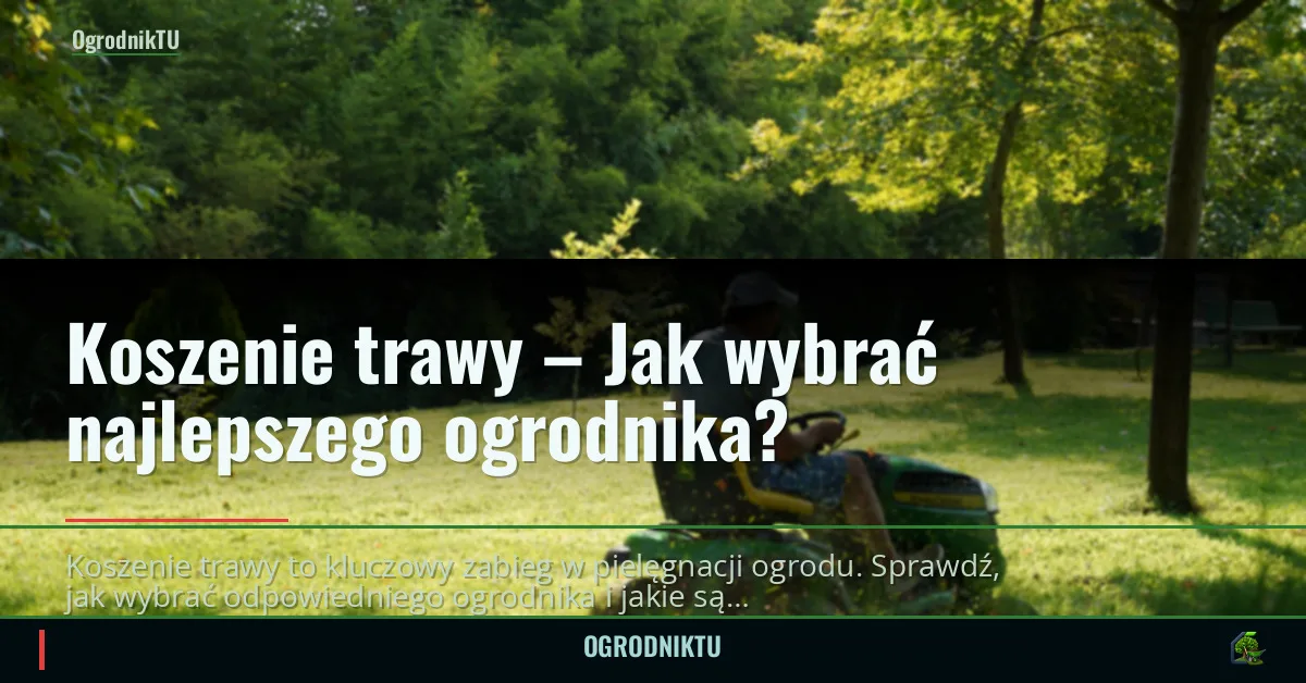 Koszenie trawy – Jak wybrać najlepszego ogrodnika?