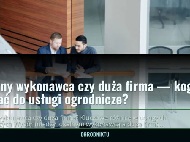 Lokalny wykonawca czy duża firma — kogo wybrać do usługi ogrodnicze? — ogrodniktu.pl