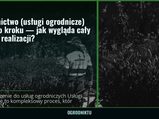 Ogrodnictwo (usługi ogrodnicze) krok po kroku — jak wygląda cały proces realizacji? — ogrodniktu.pl