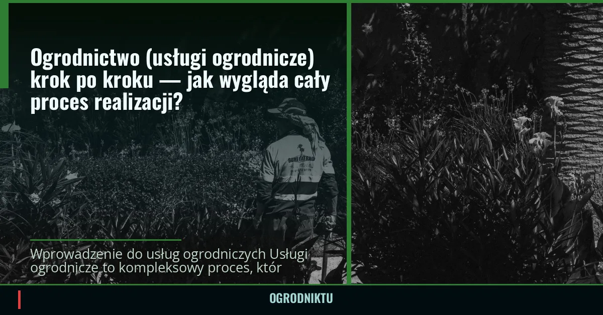 Ogrodnictwo (usługi ogrodnicze) krok po kroku — jak wygląda cały proces realizacji?