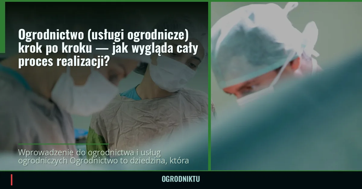 Ogrodnictwo (usługi ogrodnicze) krok po kroku — jak wygląda cały proces realizacji?