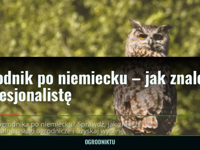 Ogrodnik po niemiecku – jak znaleźć profesjonalistę — ogrodniktu.pl