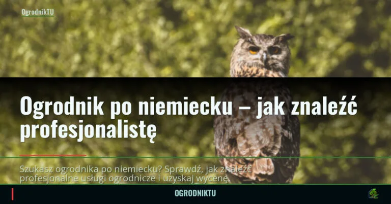 Ogrodnik po niemiecku – jak znaleźć profesjonalistę — ogrodniktu.pl