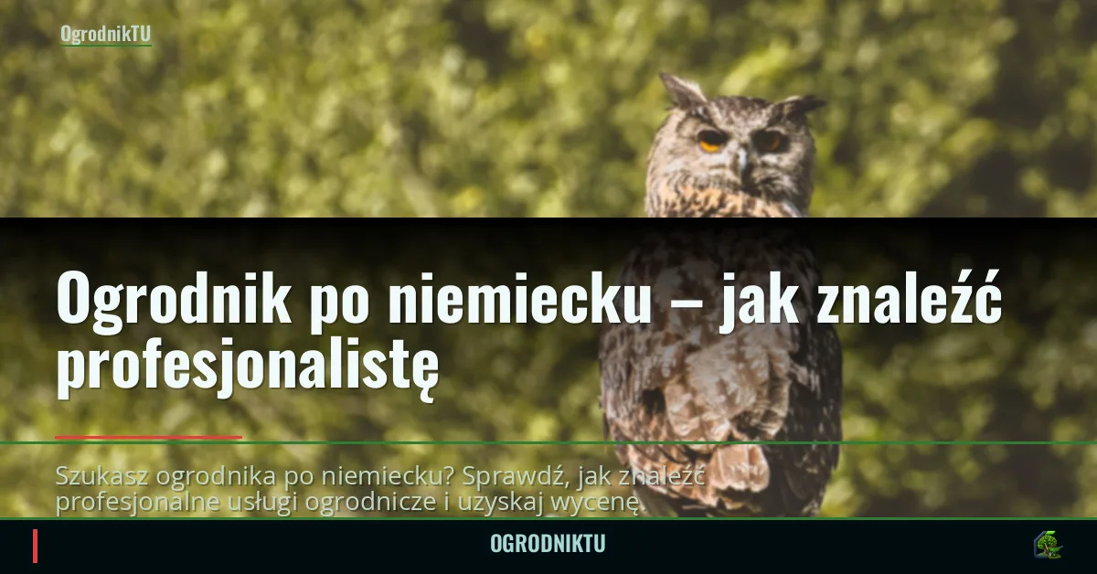 Ogrodnik po niemiecku – jak znaleźć profesjonalistę