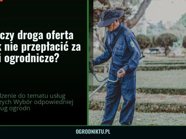 Tania czy droga oferta — jak nie przepłacić za usługi ogrodnicze? — ogrodniktu.pl