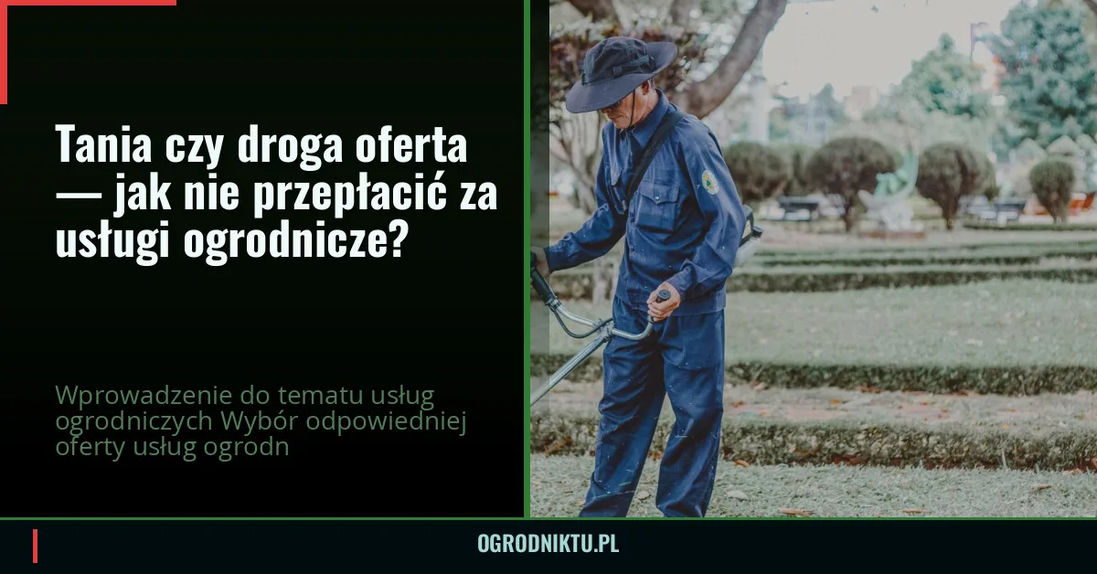 Tania czy droga oferta — jak nie przepłacić za usługi ogrodnicze?