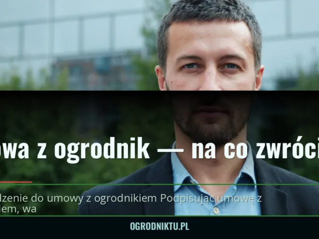 Umowa z ogrodnik — na co zwrócić uwagę przed podpisaniem? — ogrodniktu.pl