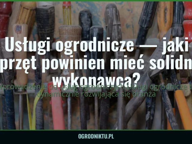 Usługi ogrodnicze — jaki sprzęt powinien mieć solidny wykonawca? — ogrodniktu.pl
