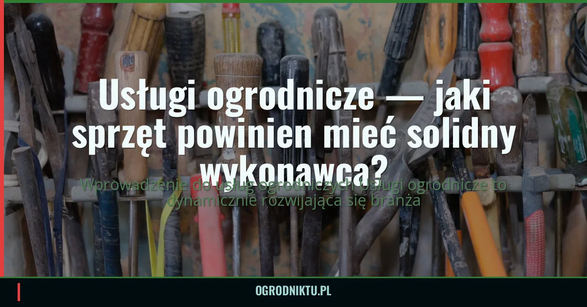 Usługi ogrodnicze — jaki sprzęt powinien mieć solidny wykonawca?