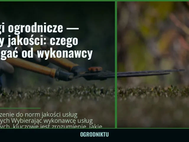 Usługi ogrodnicze — normy jakości: czego wymagać od wykonawcy — ogrodniktu.pl