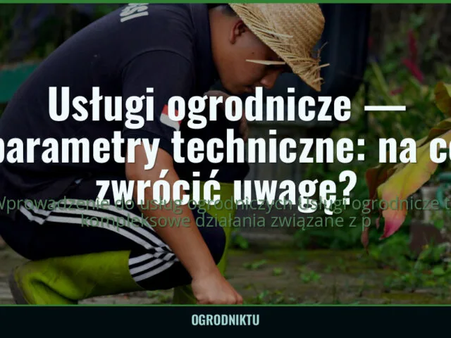 Usługi ogrodnicze — parametry techniczne: na co zwrócić uwagę? — ogrodniktu.pl