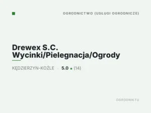 Drewex S.C. Wycinki/Pielegnacja/Ogrody