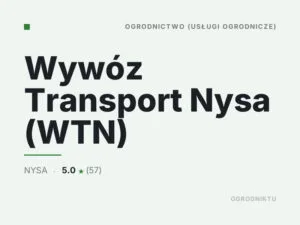 Wywóz Transport Nysa (WTN)
