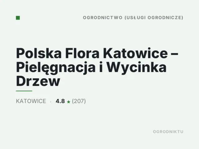 Polska Flora Katowice – Pielęgnacja i Wycinka Drzew