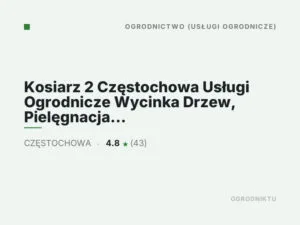 Kosiarz 2 Częstochowa Usługi Ogrodnicze Wycinka Drzew, Pielęgnacja Zieleni,Zakładanie Ogrodow