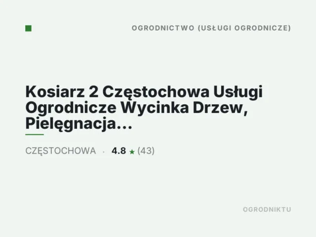 Kosiarz 2 Częstochowa Usługi Ogrodnicze Wycinka Drzew, Pielęgnacja Zieleni,Zakładanie Ogrodow