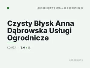 Czysty Błysk Anna Dąbrowska Usługi Ogrodnicze