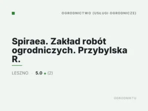 Spiraea. Zakład robót ogrodniczych. Przybylska R.