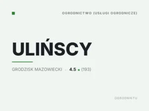 ULIŃSCY