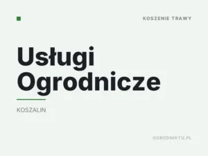 Usługi Ogrodnicze