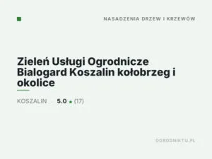 Zieleń Usługi Ogrodnicze Bialogard Koszalin kołobrzeg i okolice
