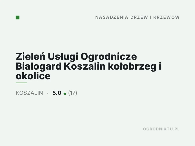 Zieleń Usługi Ogrodnicze nasadzenia drzew i krzewów Koszalin