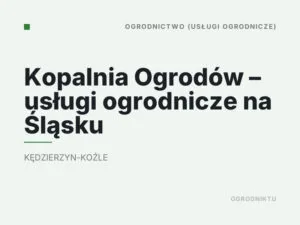 Kopalnia Ogrodów – usługi ogrodnicze na Śląsku