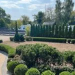 Aftergarden-Ogrody Premium aeracja i wertykulacja trawnika Kraków