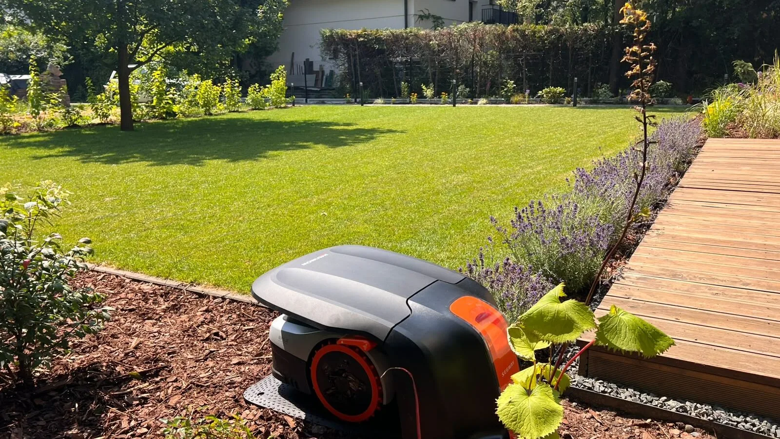 Aftergarden-Ogrody Premium aeracja i wertykulacja trawnika Kraków