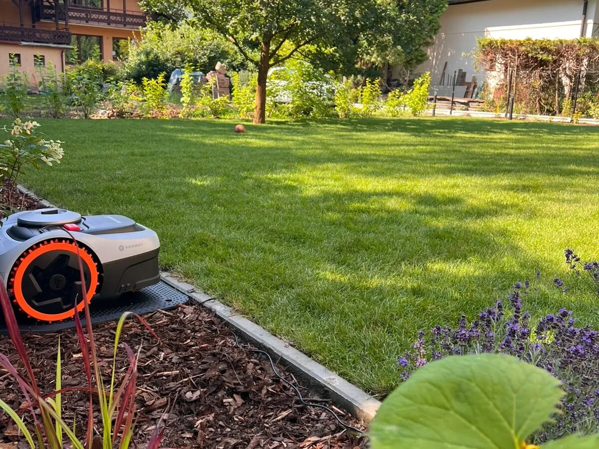 Aftergarden-Ogrody Premium aeracja i wertykulacja trawnika Kraków