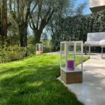 Aftergarden-Ogrody Premium aeracja i wertykulacja trawnika Kraków