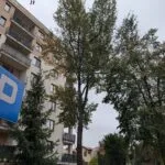 CEDR Michał Kaczmarek Ekspertyza dendrologiczna Jabłonna
