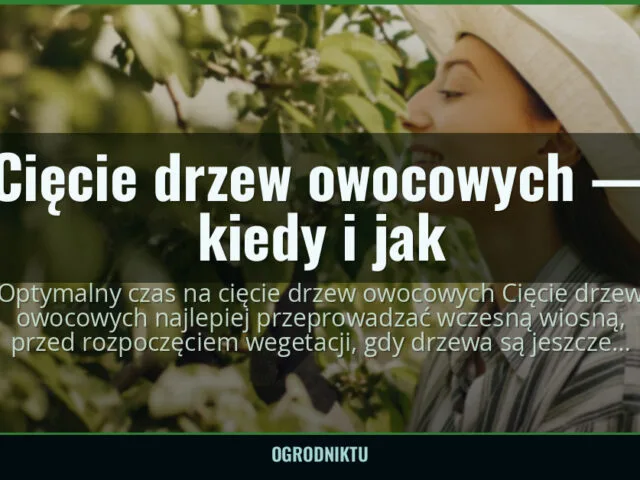 Cięcie drzew owocowych — kiedy i jak — ogrodniktu.pl
