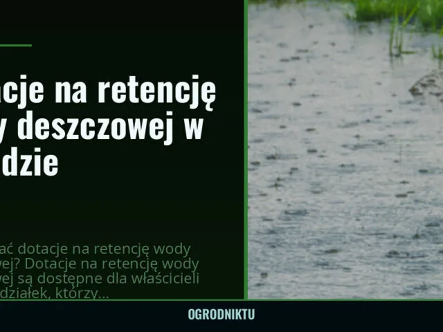 Dotacje na retencję wody deszczowej w ogrodzie — ogrodniktu.pl