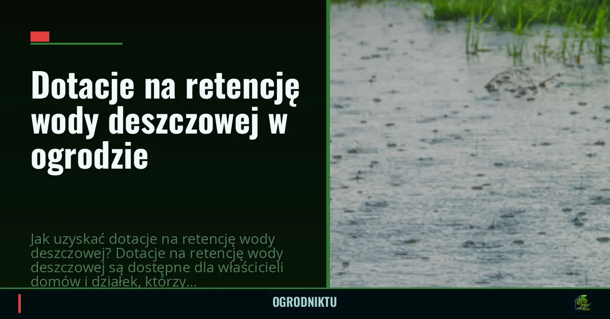 Dotacje na retencję wody deszczowej w ogrodzie