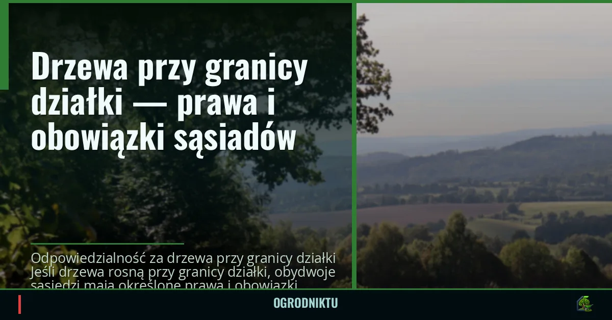 Drzewa przy granicy działki — prawa i obowiązki sąsiadów