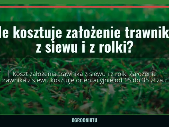 Ile kosztuje założenie trawnika z siewu i z rolki? — ogrodniktu.pl