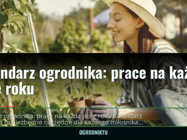 Kalendarz ogrodnika: prace na każdą porę roku
