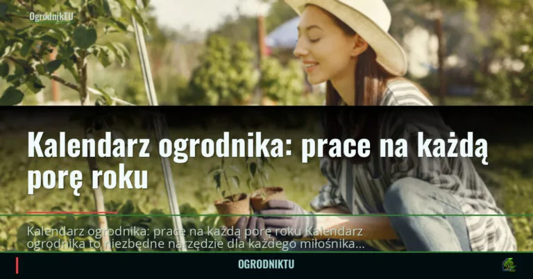 Kalendarz ogrodnika: prace na każdą porę roku — ogrodniktu.pl