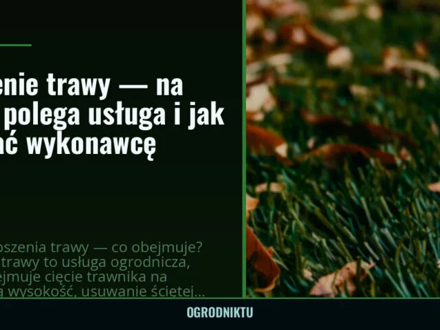 Koszenie trawy — na czym polega usługa i jak wybrać wykonawcę