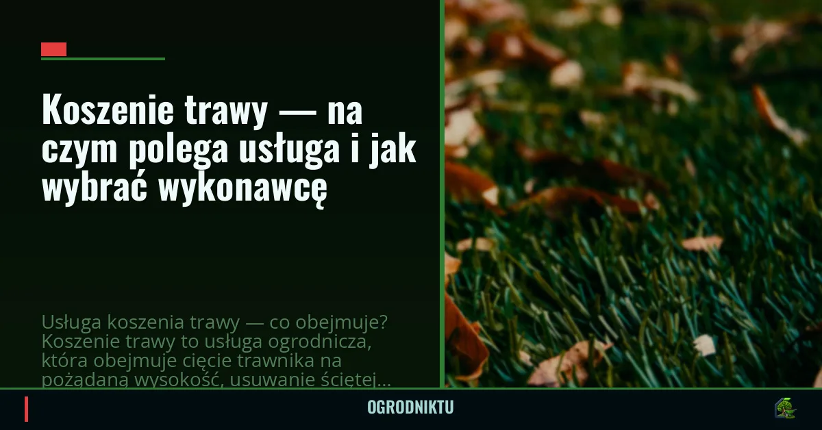 Koszenie trawy — na czym polega usługa i jak wybrać wykonawcę