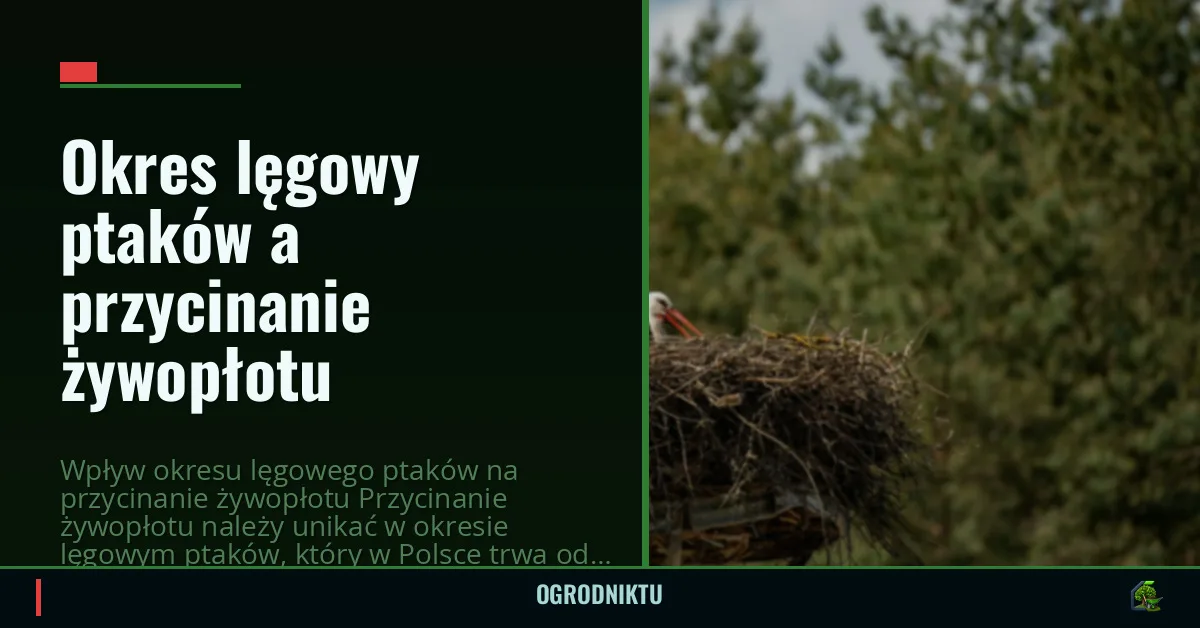 Okres lęgowy ptaków a przycinanie żywopłotu
