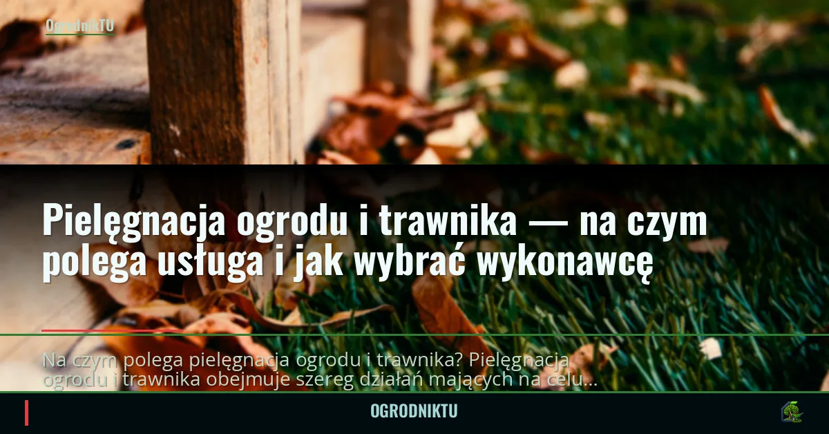 Pielęgnacja ogrodu i trawnika — na czym polega usługa i jak wybrać wykonawcę